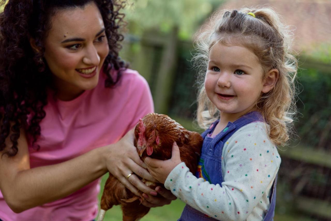 Horsley Hale Farm Glamping Ξενοδοχείο Ely Εξωτερικό φωτογραφία