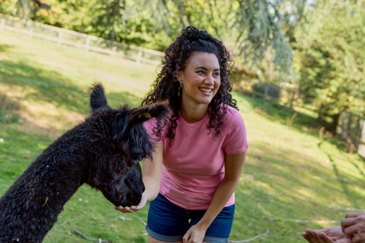 Horsley Hale Farm Glamping Ξενοδοχείο Ely Εξωτερικό φωτογραφία