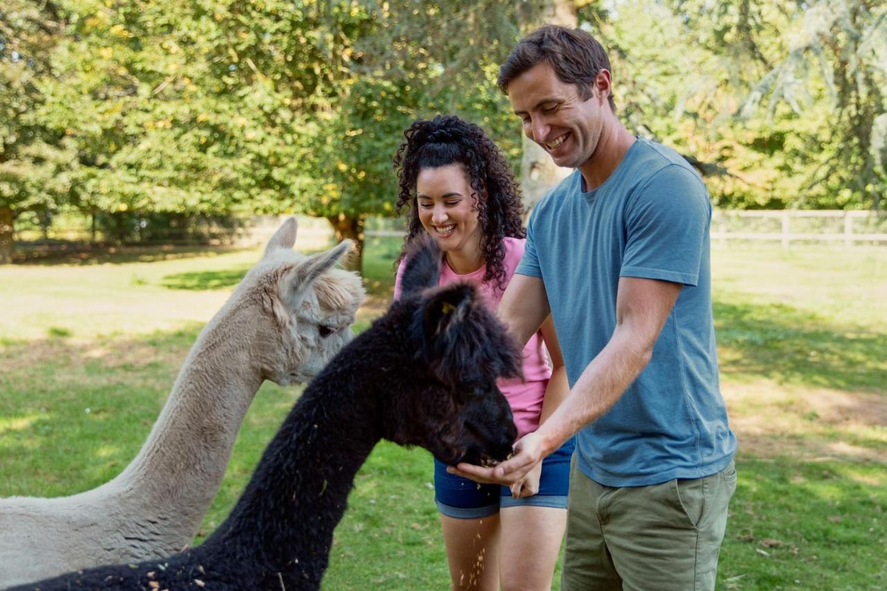 Horsley Hale Farm Glamping Ξενοδοχείο Ely Εξωτερικό φωτογραφία