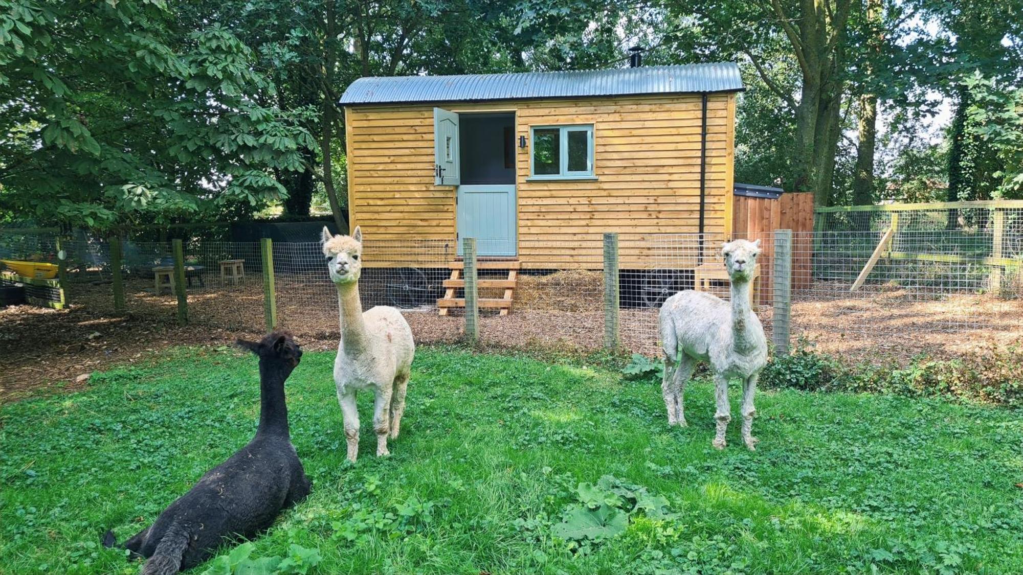Horsley Hale Farm Glamping Ξενοδοχείο Ely Εξωτερικό φωτογραφία