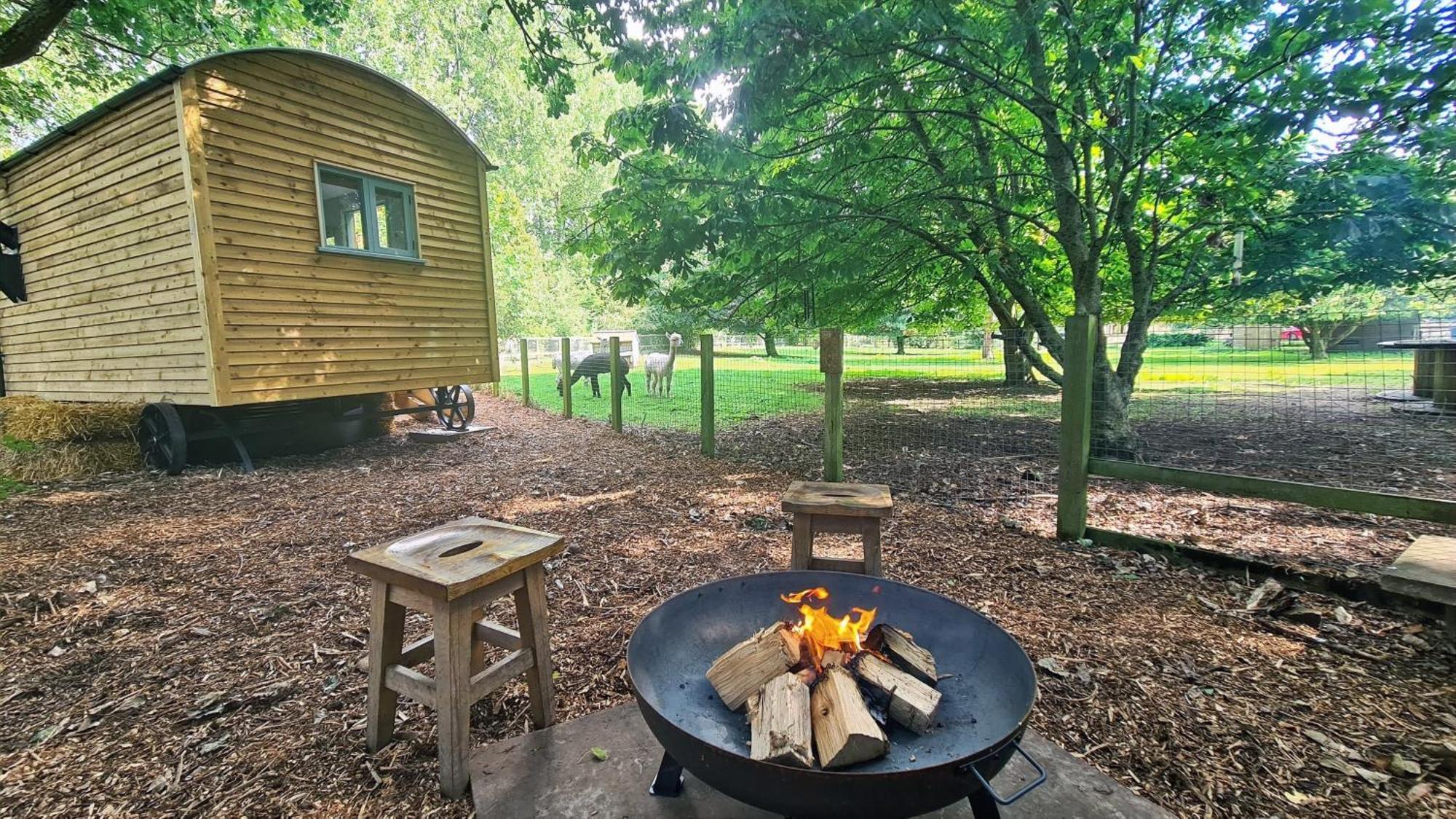 Horsley Hale Farm Glamping Ξενοδοχείο Ely Δωμάτιο φωτογραφία